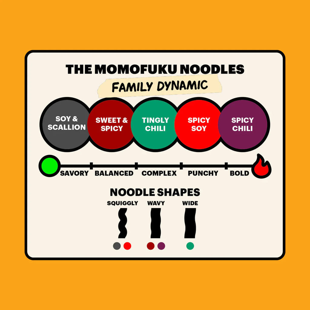 Noodle 101 Pack
