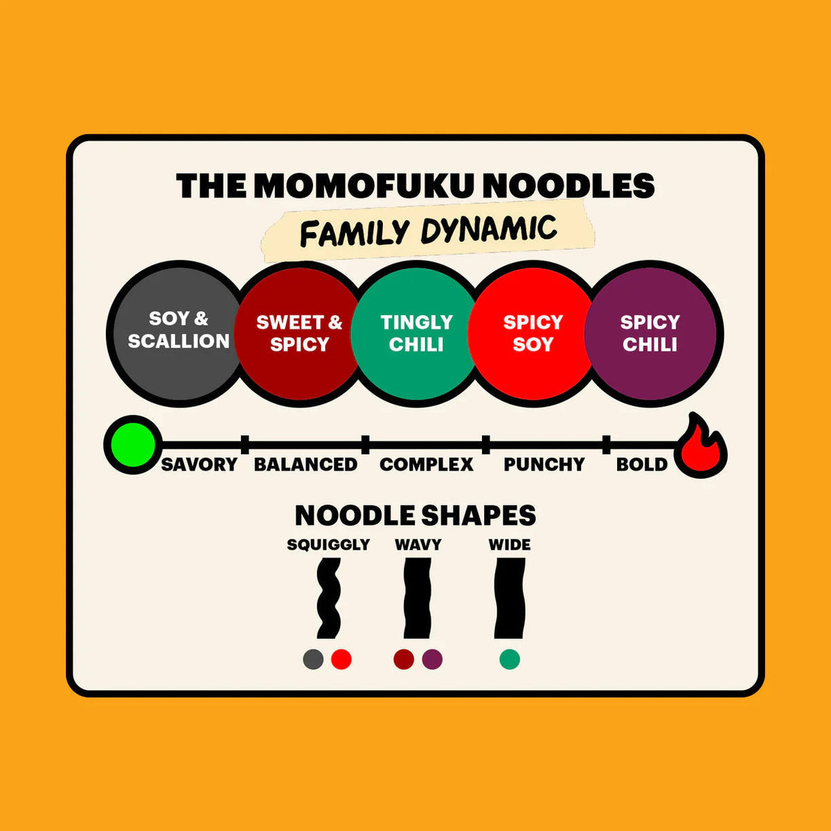 Noodle 101 Pack